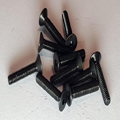 CSK Head Screw