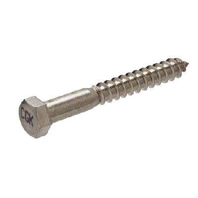 Lag Bolts Screws