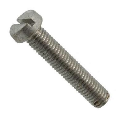 Slotted Cheese Head Screws