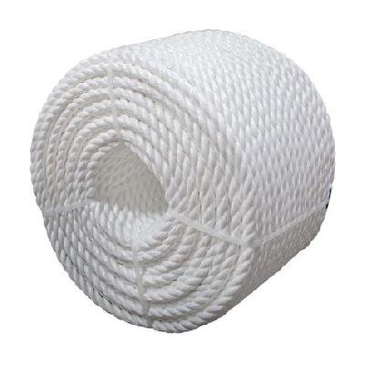 PP Ropes