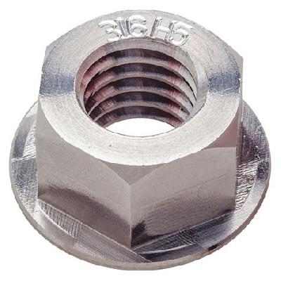 Stainless Steel Flange Nut