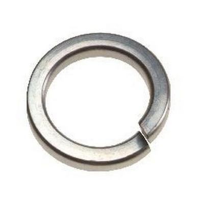 Stainless Steel Spring Washer