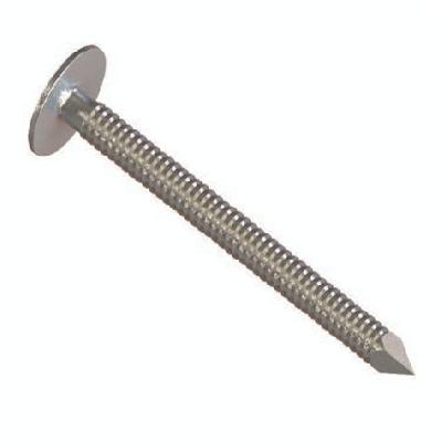 Roofing MS Steel Nails