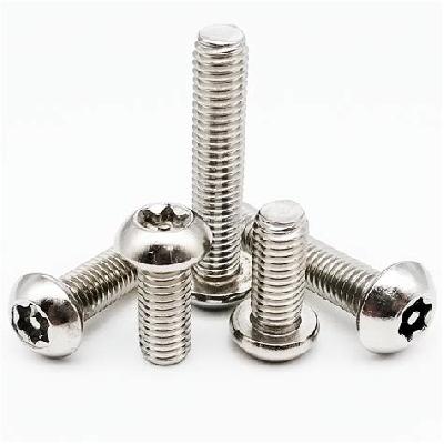 Stainless Steel Anti Theft Bolts