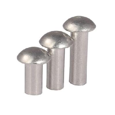 Pan Head Rivet