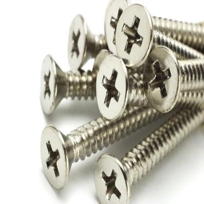 Galvanized Iron Screw