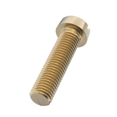 Cheese Head Screw