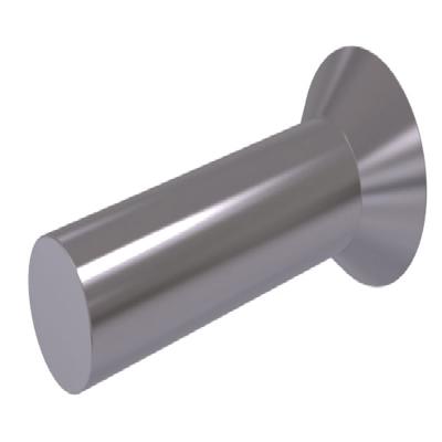 Countersunk Head Rivet
