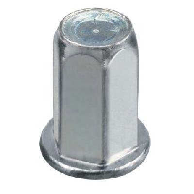 Full Hex Body Rivet