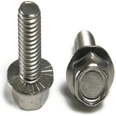 Allen Cap Screw (With Serration)
