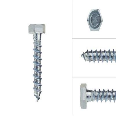 Hot Dip Galvanized Coach Screw