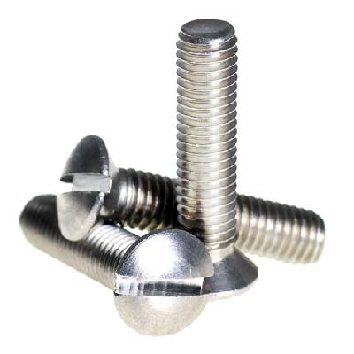 Raised Slotted Screw
