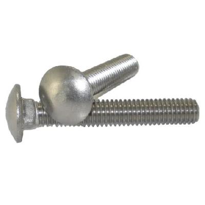 Ss 304 Carriage Bolt