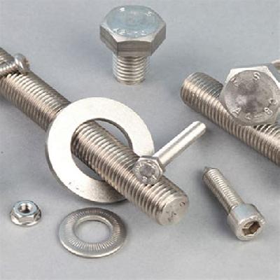 SS 304 Fasteners