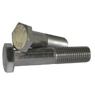 SS 304 Hex Bolt