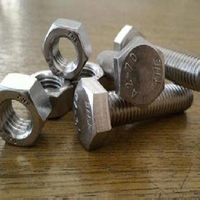 SS 304 Plug Bolt