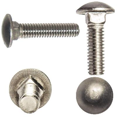 SS Carriage Bolt