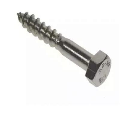 SS Hex Coach Screw
