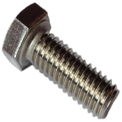 Stainless Steel Hex Bolts (Grade SS304 316)