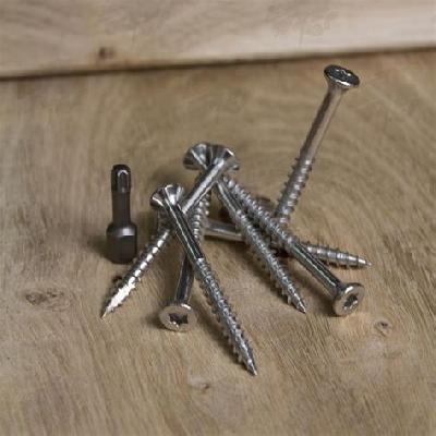 Stainless Steel Screws