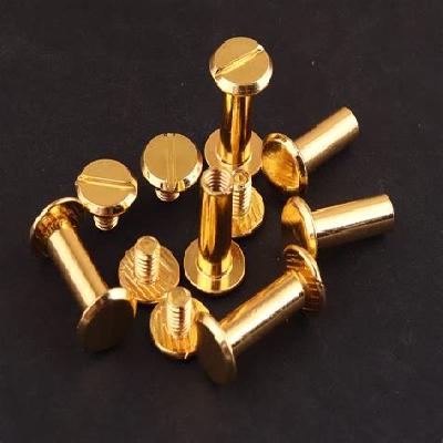 Rivets and Screws