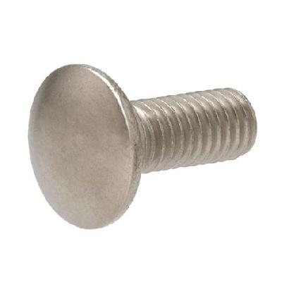 Stainless Steel Carriage Bolts