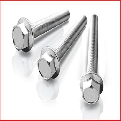 Stainless Steel Flange Bolt
