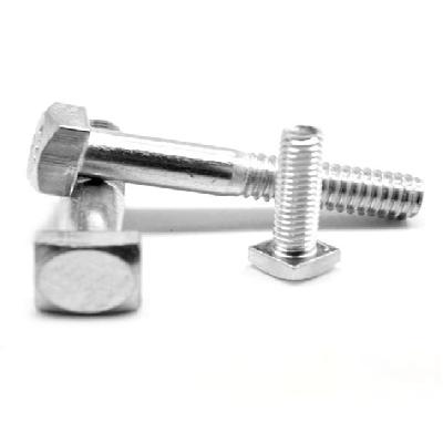 Stainless Steel Square Head Bolt