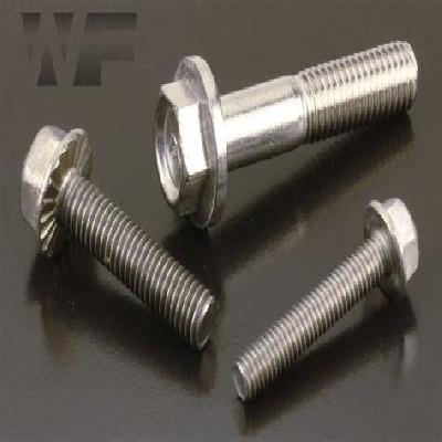 Hex Head Flange Bolt