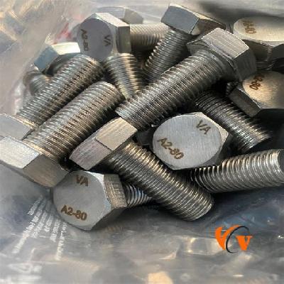Stainless Steel Hex Bolts