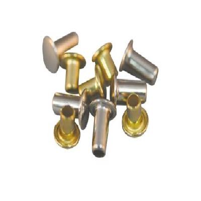 T Rivets