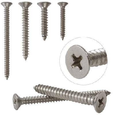 Stainless Steel Countersunk Screw