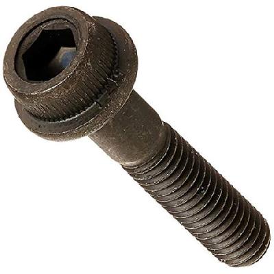 Socket Head Bolt
