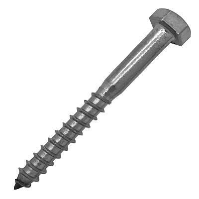 Coach Screw