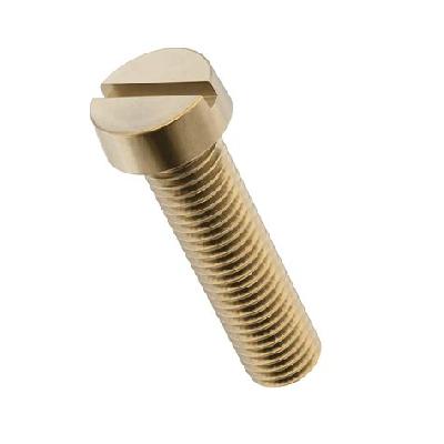 Cheese Head Screws