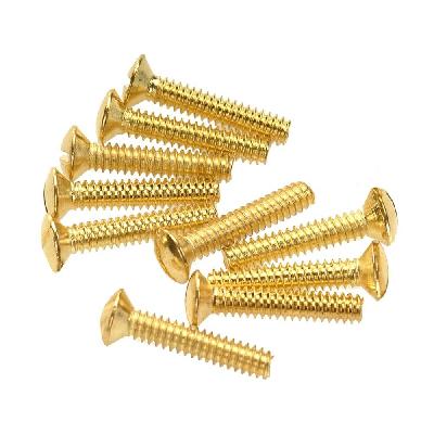 Plate Screw