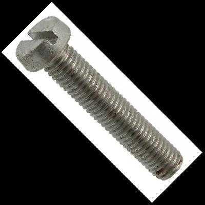 Slotted Cheese Head Screw