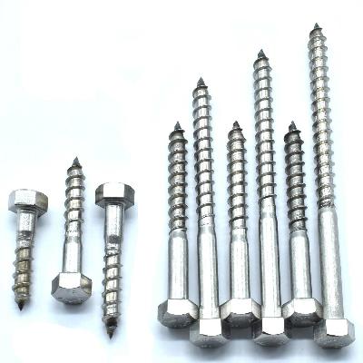 Hex Coach Screw