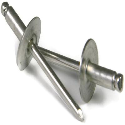 Stainless Steel Rivet