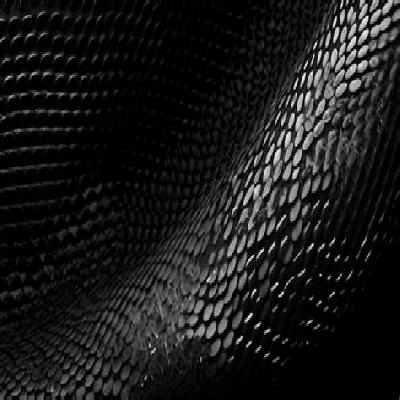 Butterfly Full Overlay SS