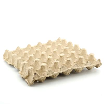 6 Cavity Paper Egg Tray