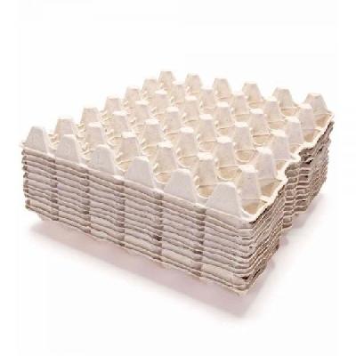 Paper  Egg Tray