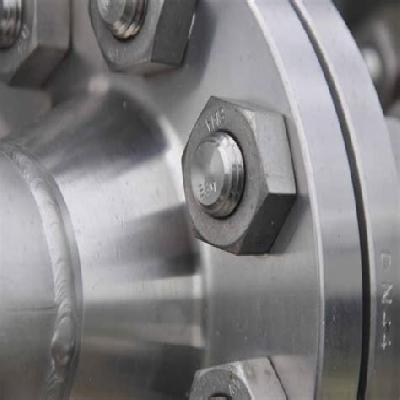 Bolt Flange