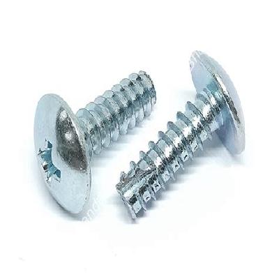 Self Tapping BT Type Screws