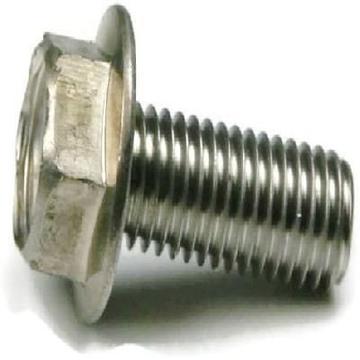 Stainless Steel Hex Flange Bolt