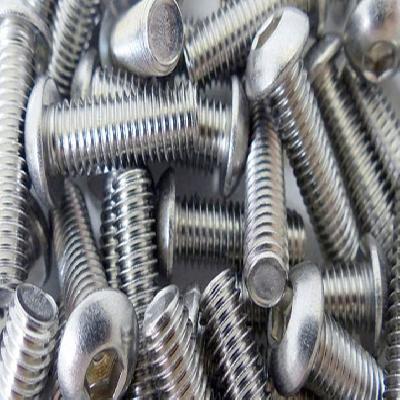 Stainless Steel Polished Fasteners
