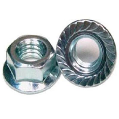 Hex Flange Nut
