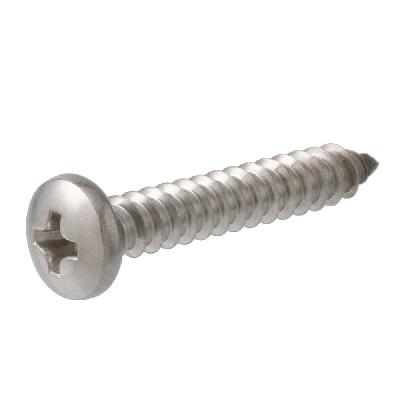 Phillips Head Screw