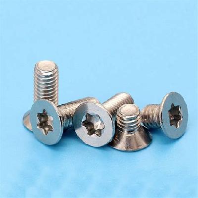 Countersunk Torx Head Screws
