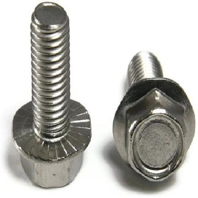 Flange Hex Screws